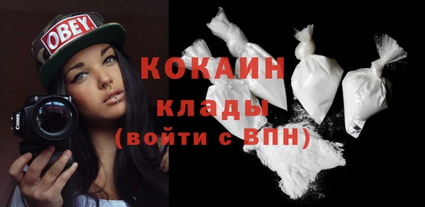 прущие грибы Балабаново
