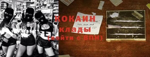 прущие грибы Балабаново