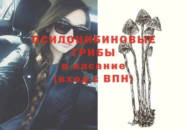 ПСИЛОЦИБИНОВЫЕ ГРИБЫ Баксан