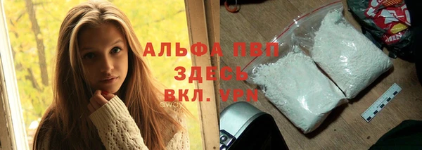 прущие грибы Балабаново